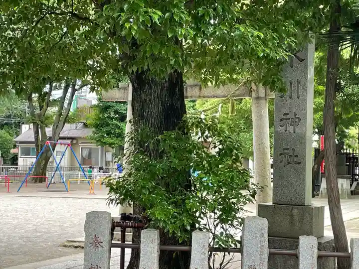 矢口氷川神社(東京都)
