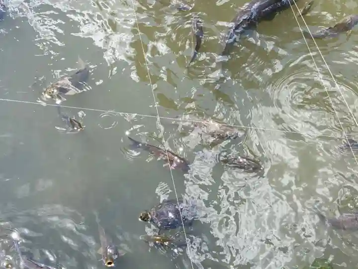 清荒神清澄寺の景色