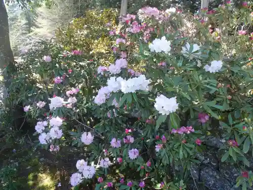 興徳寺(岐阜県)