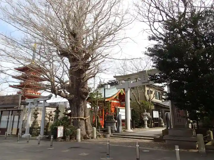銚港神社の周辺