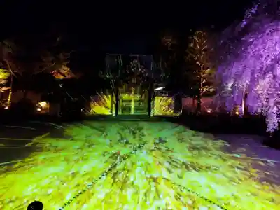 高台寺（高台寿聖禅寺・高臺寺）(京都府)