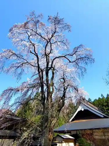 観音寺(福島県)