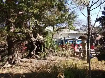 静岡浅間神社(静岡県)