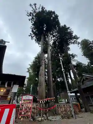 櫛引八幡宮(青森県)