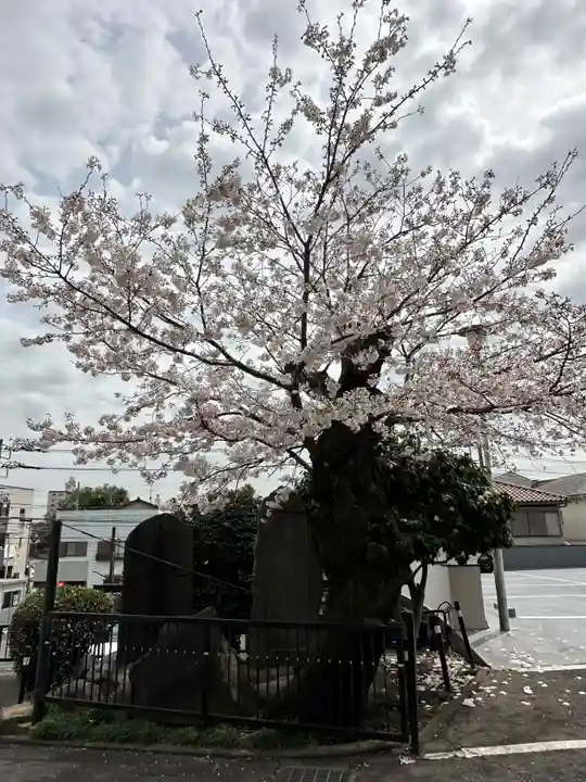 海向山岩松寺金蔵院(神奈川県)