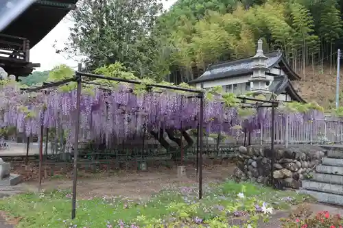 長泉寺の庭園