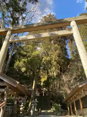 伊野天照皇大神宮の鳥居