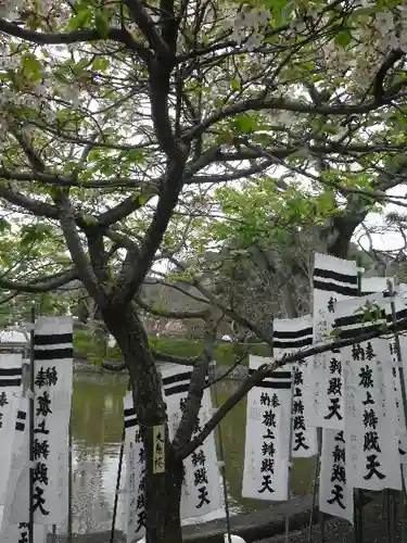 鶴岡八幡宮の自然