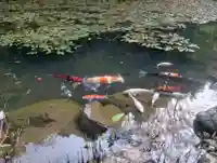 三光寺(岐阜県)