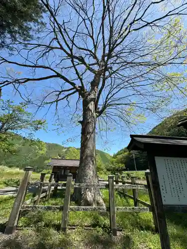 旗挙八幡宮(長野県)
