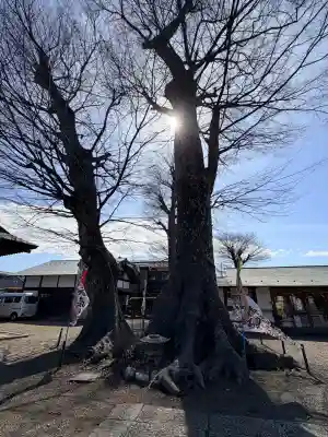 八枝神社の{uncategorized: "未分類", other: "その他", undefined: "問題あり", building: "その他建物", grave: "お墓", sacred_gate: "鳥居", guardian: "狛犬", statue: "像", buddha: "仏像", history: "歴史", nature: "自然", garden: "庭園", animal: "動物", pagoda: "塔", temizu: "手水舎", mountain_gate: "山門・神門", sanctuary: "本殿・本堂", subordinate: "末社・摂社", art: "芸術", scenery: "景色", jizo: "地蔵", ema: "絵馬", goshuin: "御朱印", omikuji: "おみくじ", items: "授与品その他", amulet: "お守り", goshuincho: "御朱印帳", eats: "食事", festival: "お祭り", votive_dance: "神楽", shichigosan: "七五三参", wedding: "結婚式", experience: "体験その他", initially: "初詣", around: "周辺", anti_infection: "感染症対策"}