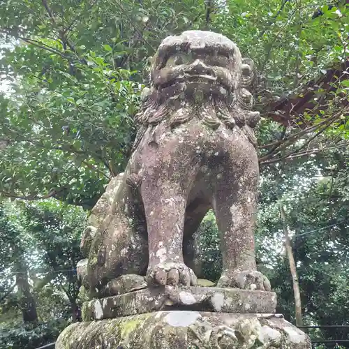 海童神社の狛犬