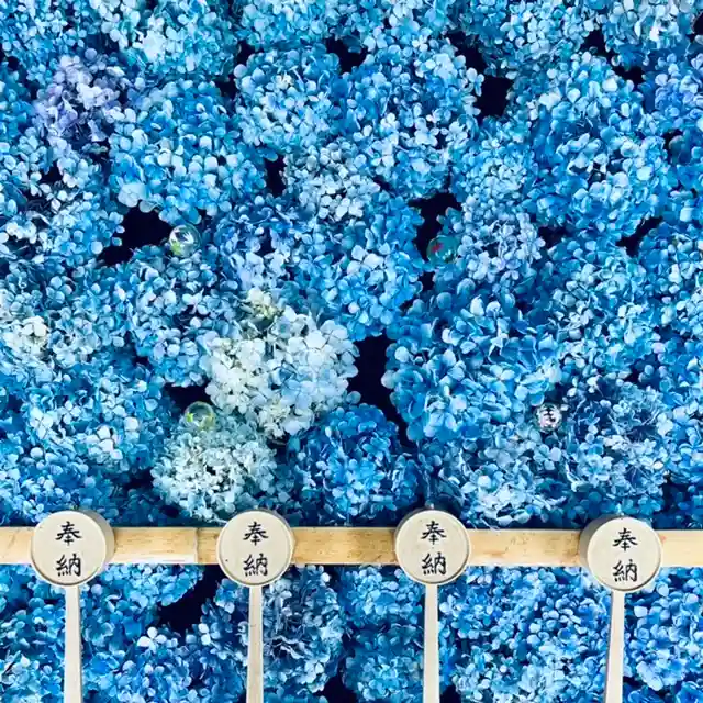 土津神社|こどもと出世の神さまの手水舎