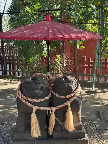 浅草神社の狛犬