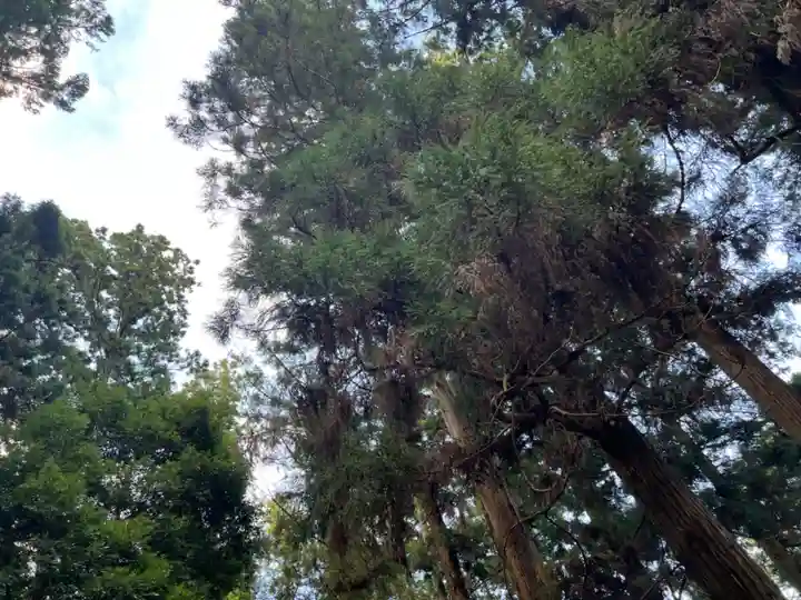 大宮温泉神社(栃木県)