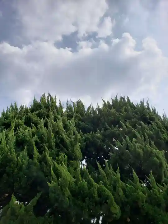 西方寺(東京都)