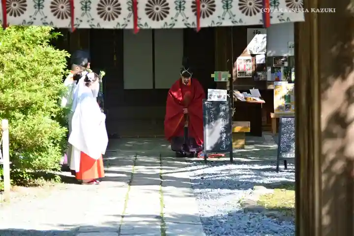 鎌倉宮のお祭り