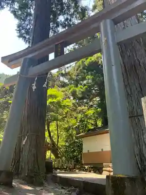 九頭龍神社(東京都)