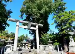 春日神社の鳥居