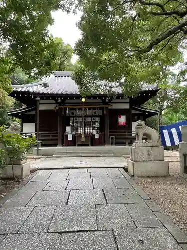 安居神社の本殿・本堂