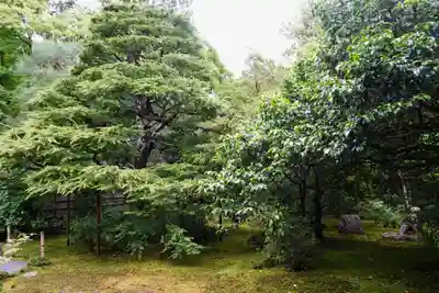 地蔵院(京都府)