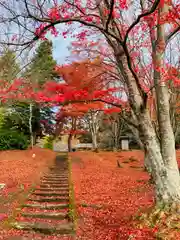 土津神社｜こどもと出世の神さまの自然