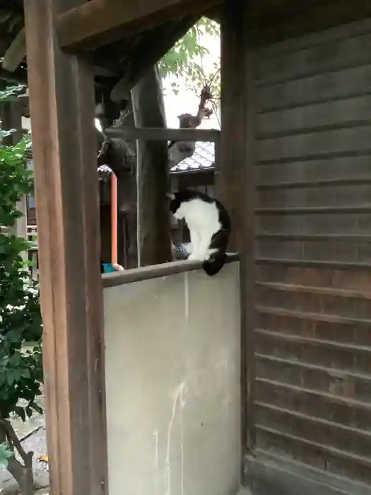 徳照寺の建物その他