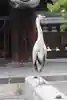 東寺(教王護国寺)の動物