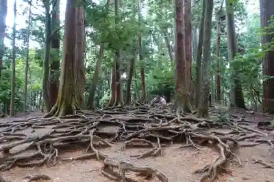 鞍馬寺(京都府)
