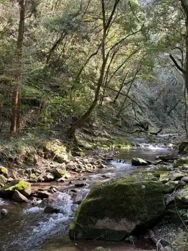 観音滝観音の{uncategorized: "未分類", other: "その他", undefined: "問題あり", building: "その他建物", grave: "お墓", sacred_gate: "鳥居", guardian: "狛犬", statue: "像", buddha: "仏像", history: "歴史", nature: "自然", garden: "庭園", animal: "動物", pagoda: "塔", temizu: "手水舎", mountain_gate: "山門・神門", sanctuary: "本殿・本堂", subordinate: "末社・摂社", art: "芸術", scenery: "景色", jizo: "地蔵", ema: "絵馬", goshuin: "御朱印", omikuji: "おみくじ", items: "授与品その他", amulet: "お守り", goshuincho: "御朱印帳", eats: "食事", festival: "お祭り", votive_dance: "神楽", shichigosan: "七五三参", wedding: "結婚式", experience: "体験その他", initially: "初詣", around: "周辺", anti_infection: "感染症対策"}