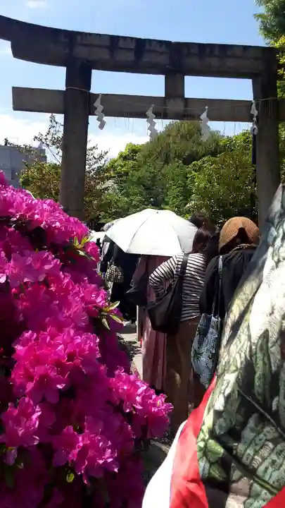 鳩森八幡神社(東京都)