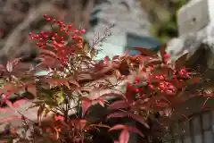 鹿島大神宮の自然