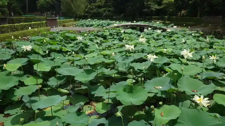 東福禅寺(東福寺)(京都府)