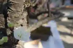 菅原天満宮（菅原神社）の自然