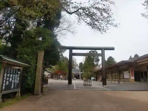 射水神社の鳥居