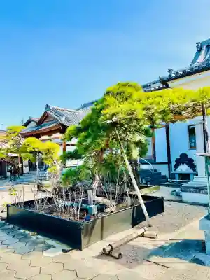少林寺の{uncategorized: "未分類", other: "その他", undefined: "問題あり", building: "その他建物", grave: "お墓", sacred_gate: "鳥居", guardian: "狛犬", statue: "像", buddha: "仏像", history: "歴史", nature: "自然", garden: "庭園", animal: "動物", pagoda: "塔", temizu: "手水舎", mountain_gate: "山門・神門", sanctuary: "本殿・本堂", subordinate: "末社・摂社", art: "芸術", scenery: "景色", jizo: "地蔵", ema: "絵馬", goshuin: "御朱印", omikuji: "おみくじ", items: "授与品その他", amulet: "お守り", goshuincho: "御朱印帳", eats: "食事", festival: "お祭り", votive_dance: "神楽", shichigosan: "七五三参", wedding: "結婚式", experience: "体験その他", initially: "初詣", around: "周辺", anti_infection: "感染症対策"}