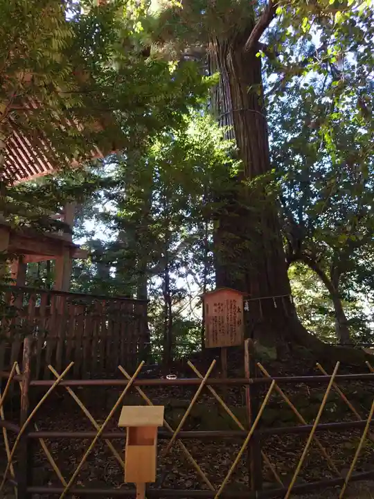 須佐神社の自然