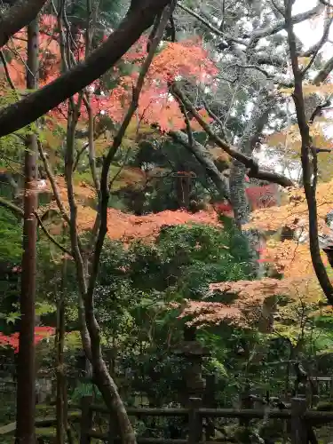 五所駒瀧神社の庭園