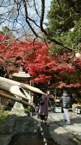 長谷寺(神奈川県)