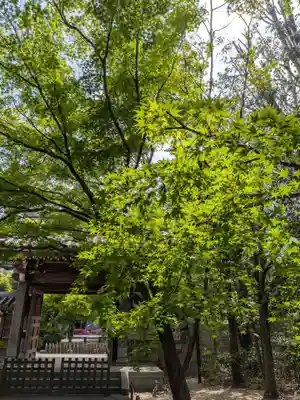 高円寺(東京都)
