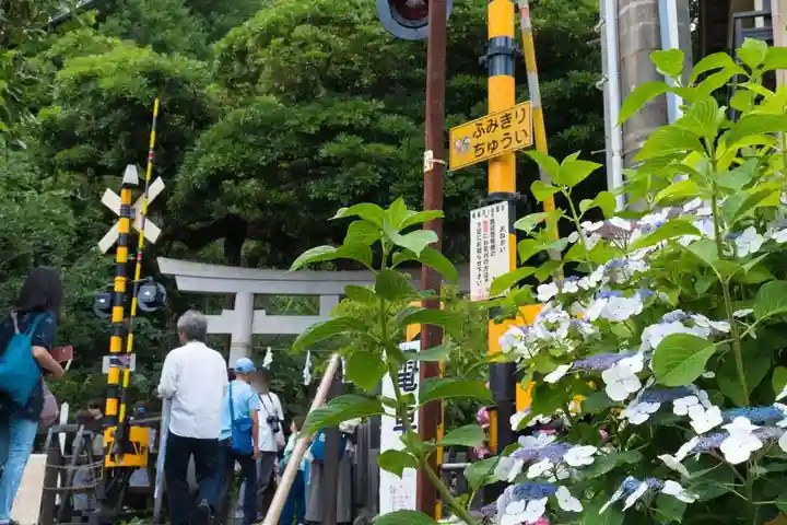 御霊神社(神奈川県)