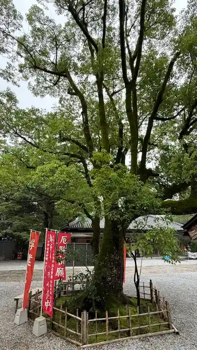 竹林寺(高知県)