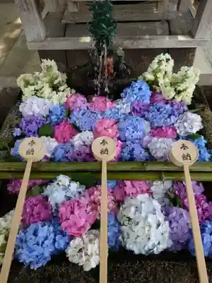 藤森神社の手水舎