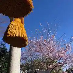 糀谷八幡宮の自然