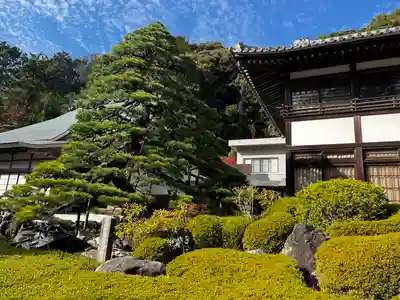 尊永寺(静岡県)