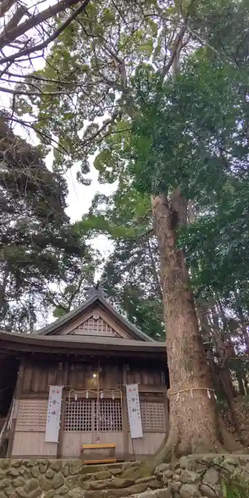 朝日神社(神奈川県)