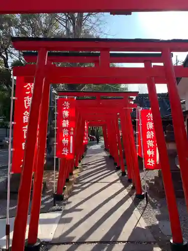 於菊稲荷神社の鳥居