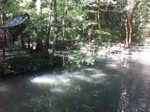 小國神社の建物その他