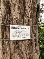 西蓮寺(愛知県)