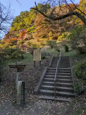 宝登山神社(埼玉県)
